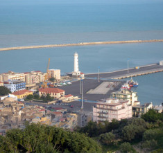 licata1