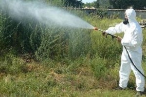 disinfestazione-zanzare